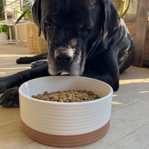 Mora Ceramic Pet Bowl - Large Food/Water Dish for Large Dogs, Cats, Great Dane, Mastiff - 50oz or 8 Cups - Basic Bowls - Vanilla White - Image 5