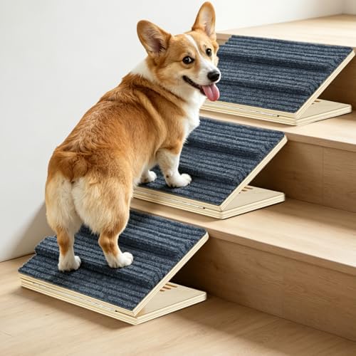 Dog Ramp for Stairs for Small Dogs Up to 40 lbs - Adjustable Dog Stair Ramp with Non-Slip Carpet, Foldable Pet Ramp for Indoor Stairs, Senior Dogs, Puppies, Short-Legged Breeds, Bed, Sofa (3-Pack) by Unknown
