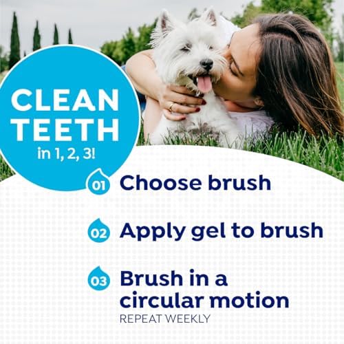 Naturel Promise Fresh Dental Toothbrush and Toothpaste Kit for Dogs, Teeth Cleaning Kit for Plaque & Tartar Removal, Contains Finger Toothbrush, Breath Freshener, Dog Dental Care - Image 6