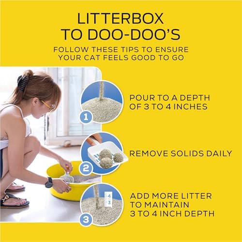 Purina Tidy Cats Lightweight 4-in-1 Strength Multi-Cat Cat Litter, Odor Control, Clumping, 99.9 Percent Dust Free, 12 lb. Box - Image 6