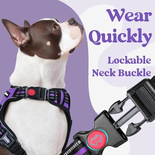 rabbitgoo Dog Harness for Large, Updated Easy On & Off with 3 Buckles - Image 2
