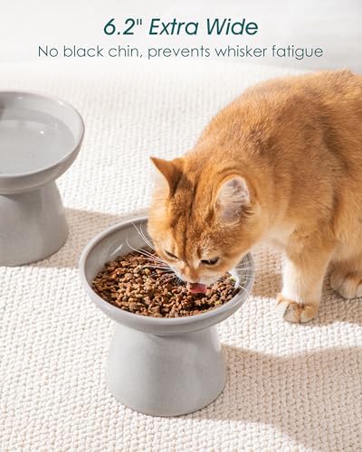 vancasso 2-Pack Extra Wide Elevated Cat Bowls, Ceramic Raised Cat Bowls - Image 4