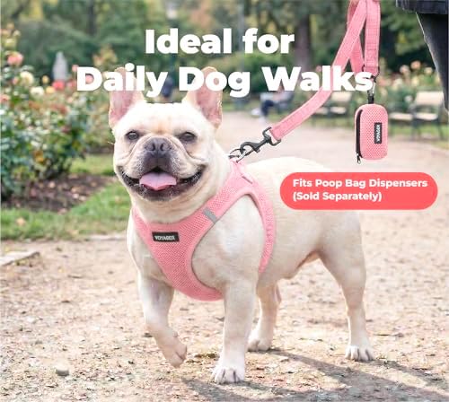 Best Pet Supplies Voyager Nylon Dog Leash - Soft Pink, Medium - Image 3