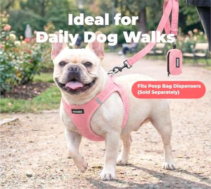 Best Pet Supplies Voyager Nylon Dog Leash - Soft Pink, Medium - Image 3