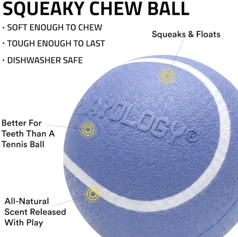 Playology Squeaky Chew Ball Dog Toy - Medium, Blueberry Scent - Image 2