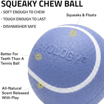 Playology Squeaky Chew Ball Dog Toy - Medium, Blueberry Scent - Image 2