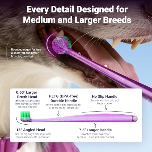 Dog Toothbrushes for Medium and Large Dogs&Cats, 2pcs, Ultra Soft Bristle, Long Durable Handle, Pet Tooth Brush and Dental Care Kit, Super Thin Bristle Gentle on Gum for Sensitive Pets, Red Violet - Image 2