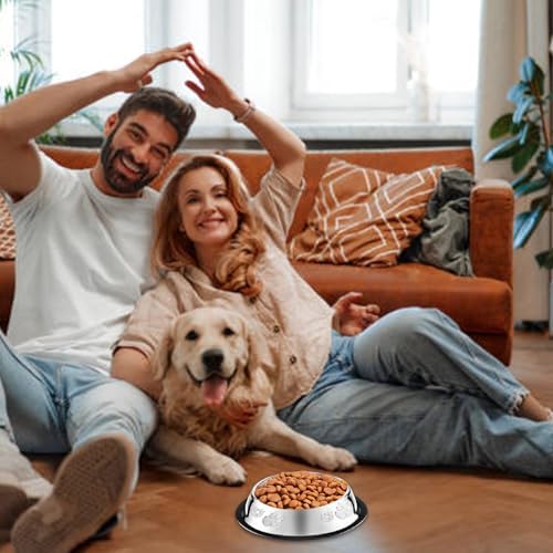10 Pcs Stainless Steel Dog Bowl Pet Feeding Bowl with Rubber Base Non-Slip Pet Dishes Metal Dog Bowls Pet Food and Water Bowls for Small Medium Animals Kitten Rabbit (18.6 oz) - Image 3