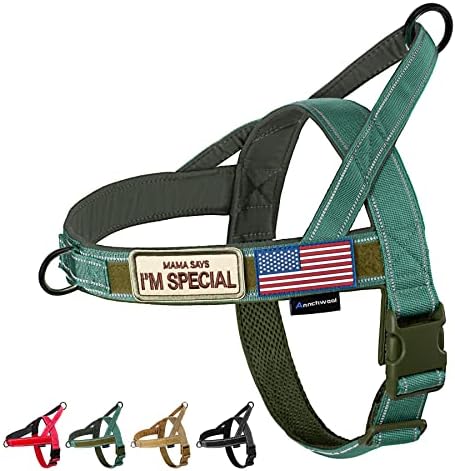 Annchwool No Pull Dog Harness with Soft Padded Handle,Reflective Strip Escape Proof and Quick Fit to Adjust Dog Harness,Easy for Training Walking for Small & Medium and Large Dogs(Green,XL) by Annchwool