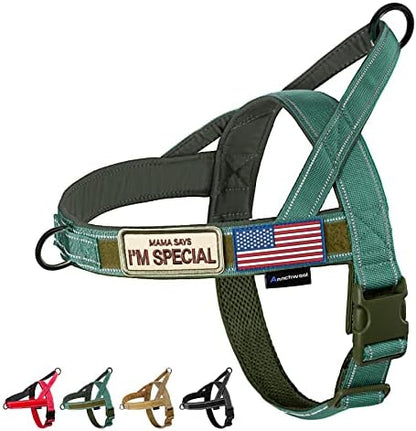 Annchwool No Pull Dog Harness with Soft Padded Handle,Reflective Strip Escape Proof and Quick Fit to Adjust Harness,Easy for Training Walking for Small & Medium and Large Dogs(Green,L) by Annchwool