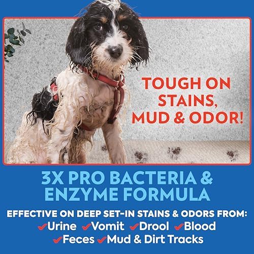 OUT! PetCare Pet Odor & Stain Remover Spray, Carpet & Floor Cleaner, Deodorizer for Dogs & Cats, Made in USA, 32 fl oz (6 Pack) - Image 3