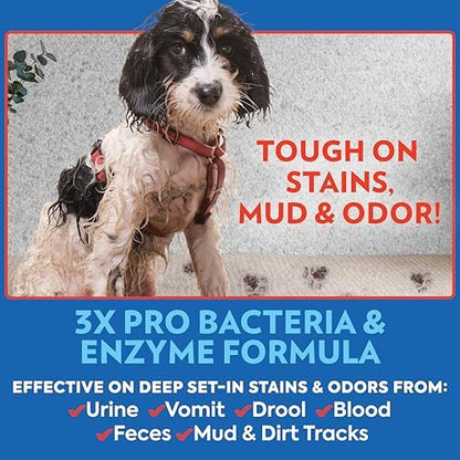 OUT! PetCare Pet Odor & Stain Remover Spray, Carpet & Floor Cleaner, Deodorizer for Dogs & Cats, Made in USA, 32 fl oz (6 Pack) - Image 3