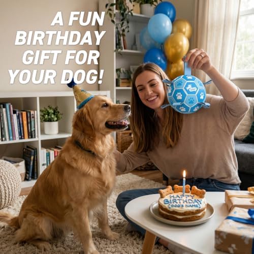 QDAN Dog Balls, 6 Inch Soccer Ball with Straps for Dogs, Outdoor Dog Toys - Image 4