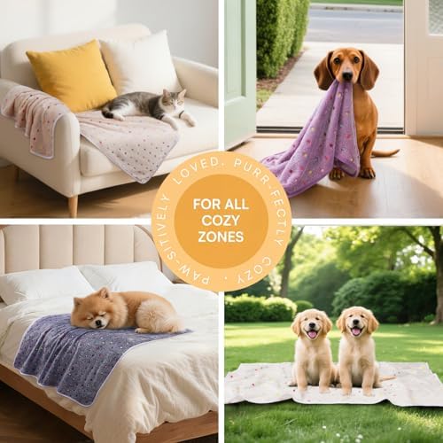 Luciphia 1 Pack 6 Dog Blankets Cat Soft Fluffy Fleece Pet Blanket Warm Cute Print Design Puppy Kitten Doggy Dot Medium(30"x20") - Image 3