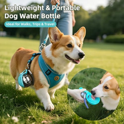 2-in-1 Portable Dog Water Bottle for Small Dogs - Leak-Proof & Compact Dog Travel Water Bottle -Stainless Steel Bottle & Silicone Bowl - Ideal for Walking, Hiking & Travels(10 fl oz, Blue) - Image 2
