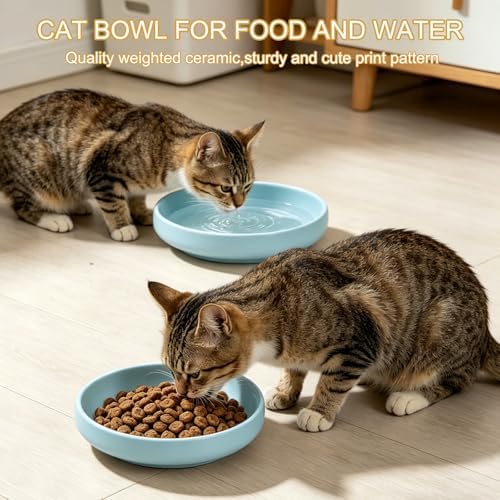 Shallow Elevated Cat Bowls with Bamboo Stand, 6.1 Inch Wide Ceramic Cat Dish Whisker Friendly, 2 Pack Pet Food and Water Plates - Image 5