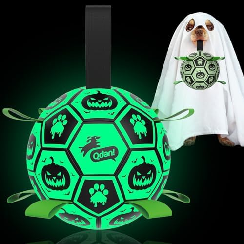 QDAN Glow in The Dark Halloween Dog Toys,Dog Balls with Straps by QDAN
