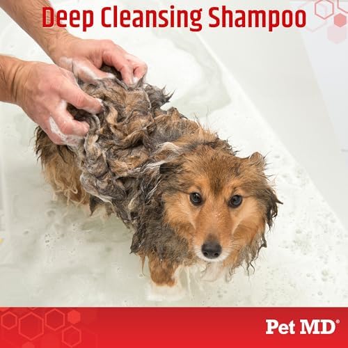 Pet MD Topical Shampoo for Dogs, Cats & Horses - Soap & Paraben Free - 16oz - Image 2