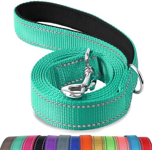 Joytale Reflective Dog Leash for Medium & Large Dogs, 6 FT x 1", Turquoise by Joytale