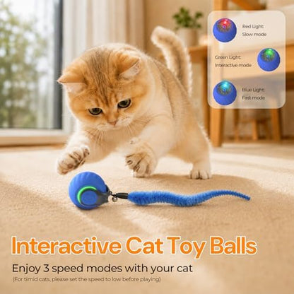 2026 Interactive Cat Toys with Bird Sounds & 3 Modes for Indoor Cats Play - Image 2