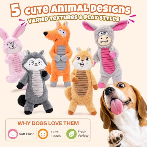 No Stuffing Dog Squeaky Toys Dogs Love These! - Image 5