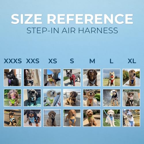 Best Pet Supplies Voyager Step-in Air All Weather Mesh Harness and Reflective Dog 5ft Leash Combo with Neoprene Handle, for Small, Medium and Large Breed Puppies - Moss Green, XXS - Image 6