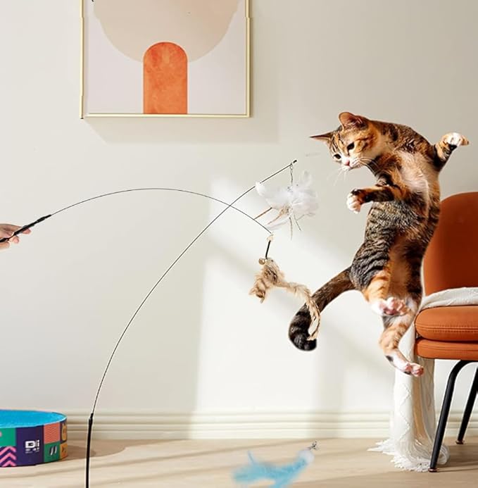 Cat Toy Wand Interactive Toys for Indoor Cat 6 in 1 Natural Bird Feather Ball Toys Pet Dancing Playing Kitten Cat Having Fun Exerciser Toy 3 Wands and 3 Assorted Teaser Refills