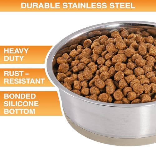 Neater Pet Brands Stainless Steel Dog Bowls with Non-Slip Rubber Bottom – 3 Cup (24 oz), Tan - Set of 2 Heavy Duty Metal Dog Bowls, Dishwasher Safe, Food or Water Bowl, Ideal for Small to Medium Dogs - Image 2