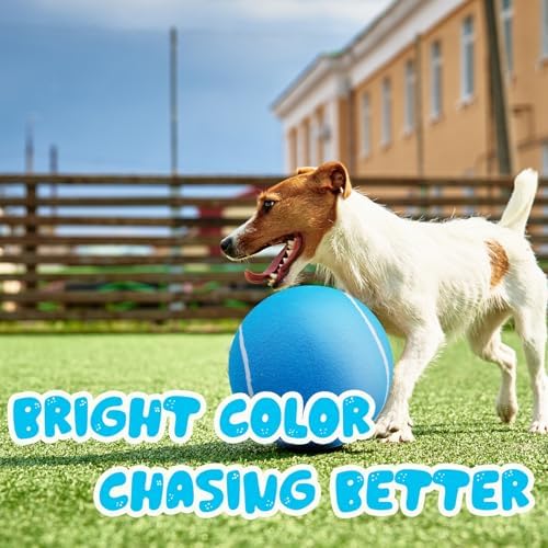 Banfeng Giant Tennis Ball for Dogs, 9.5" Large Outdoor Doy Sport Ball Gift - Image 5