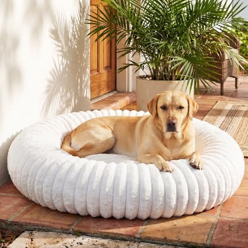 Donut Dog Bed for Large Dogs - Pet Bed with Removable Cover, Self-Heating Winter Pet Beds for Medium & Big Dogs, Egg Tart Design (L) Dog beds Medium Sized Dog self Warming by Unknown