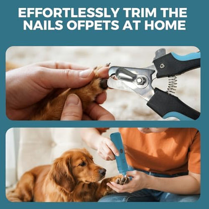 PAPIFEED Dog Nail Grinder with LED Light, Ultra Quiet 3-Speed Electric Nail File for Small Medium Large Dogs & Cats, Rechargeable Pet Nail Grinder Set with Nail Trimmer (Blue Kit) - Image 2