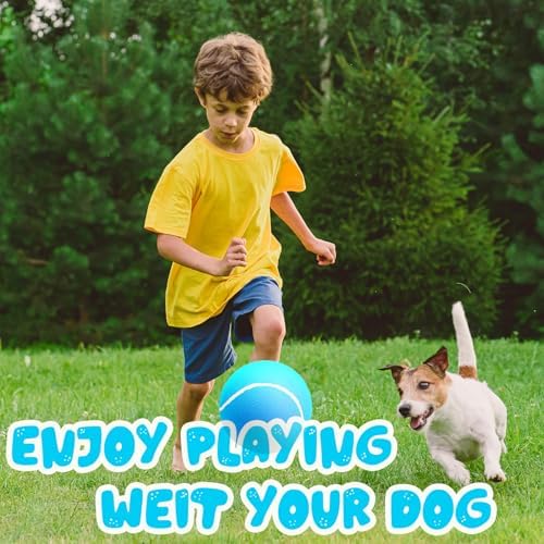 Banfeng Giant Tennis Ball for Dogs, 9.5" Large Outdoor Doy Sport Ball Gift - Image 6