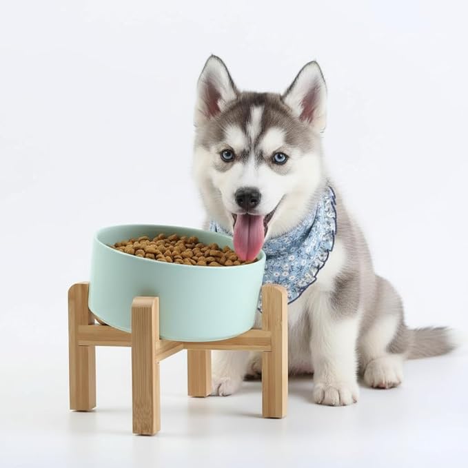 Petygooing Elevated/Raised 15°Slanted Ceramic Dog Bowl for Small and Medium Breeds, Tilted Anti Slip Pet Bowl,Food Water Dish with Stand for Cats and Dogs (28 OZ/3.6 Cups) Blue Sky