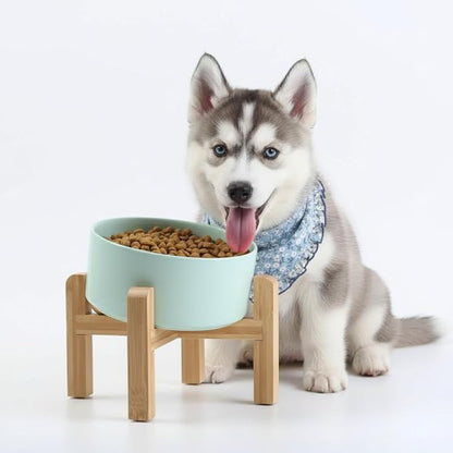 Petygooing Elevated/Raised 15°Slanted Ceramic Dog Bowl for Small and Medium Breeds, Tilted Anti Slip Pet Bowl,Food Water Dish with Stand for Cats and Dogs (28 OZ/3.6 Cups) Blue Sky