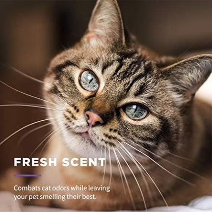 Wet Ones for Cats Freshening Wipes with Aloe Vera, Fresh, 50 Ct, 12-Pk | Multi-purpose grooming wipes remove dirt, odor, and dander between baths, gentle for regular use on cats - Image 5