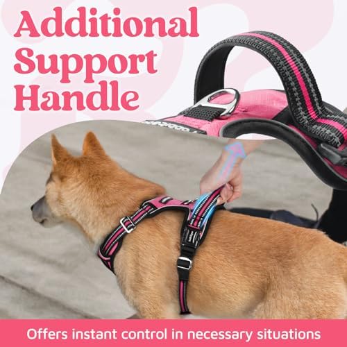 rabbitgoo Dog Harness Small Sized, No Pull 3 Buckles Easy On & Off - Image 4