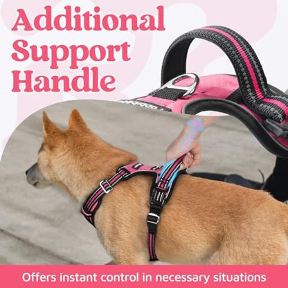 rabbitgoo Dog Harness Small Sized, No Pull 3 Buckles Easy On & Off - Image 4
