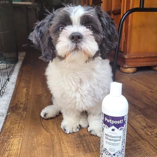Petpost | Dog Whitening Shampoo with Coconut Oil & Aloe. Brightens White & Light Coats, Moisturizes Skin. Watermelon Scent. 16 oz - Image 5