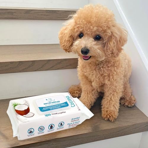 Best Pet Supplies Cleaning Dog Wipes - Moisturizing Coconut 100 Count - Image 6