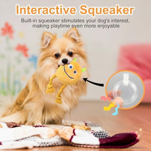 lilfrd 2 Pack Squeaky Rope Plush Dog Toys for Small Medium Puppies - Image 2