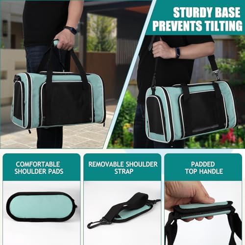Top tasta Dog Cat Carrier Pet Carriers for Small Medium Large Cats Dogs Carrier Soft Sided Small Puppy Dog Carrier Portable Foldable Airline Approved Dog Cat Travel Carrier Green Large - Image 5