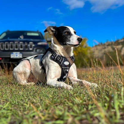 AUROTH Tactical Dog Harness for Small Medium Large Dogs - No Pull, Adjustable, Reflective, K9 Working Training, Easy Control, Military Service Dog Harness (M, Black Ink) - Image 6
