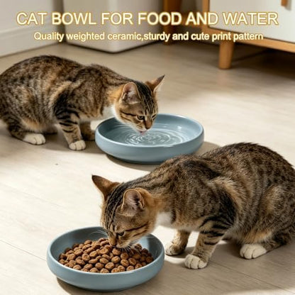 Shallow Elevated Cat Bowls with Bamboo Stand, 6.1 Inch Wide Ceramic Cat Dish Whisker Friendly, 2 Pack Pet Food and Water Plates - Image 6