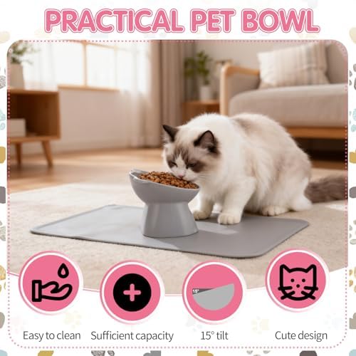 Elevated Cat Bowls 15° Raised Cat Bowl with Silicone Mat Multicolor - Image 4