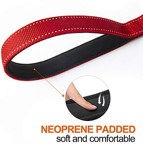 Twoear 4FT 1IN Heavy Duty Dog Leash for Large Dogs with 2 Padded Handles - Image 4