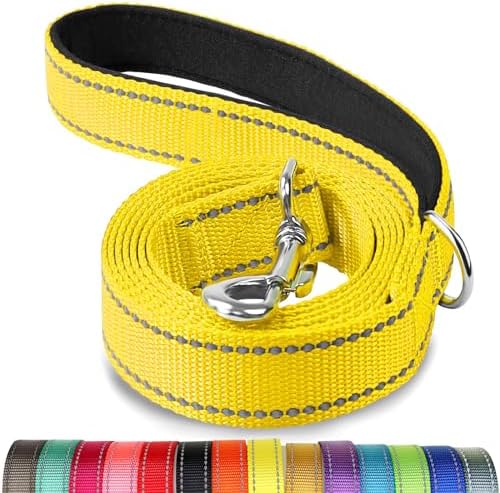 Joytale Reflective Dog Leash for Small Dogs, 5 FT x 3/4", Yellow by Joytale