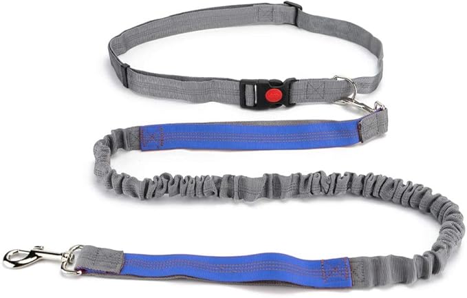 Hands Free Dog Leash, Retractable Dual Handle Bungee Leash, Adjustable Waist Dog Running Belt for Running, Walking, Training, Hiking, Traveling（Gray/Blue）