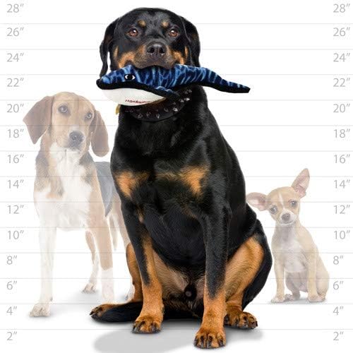 TUFFY - World's Tuffest Soft Dog Toy - Ocean- Squeakers - Multiple Layers. Made Durable, Strong & Tough. Interactive Play (Tug, Toss & Fetch). Machine Washable & Floats. (Whale, Large 2 Pack)