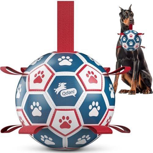 QDAN Large Outdoor Dog Toy, Soccer Ball with Straps, Durable Giant Dog Ball by QDAN