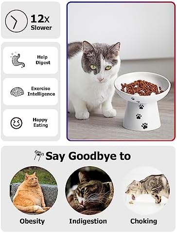 Y YHY Slow Feeder Cat Bowl, Ceramic Cat Slow Feeder Bowl, 6 Inches, Elevated, Anti Vomiting for Dry and Wet Food, White - Image 3